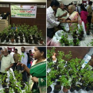 OCYM Sapling Distribution - July 2017